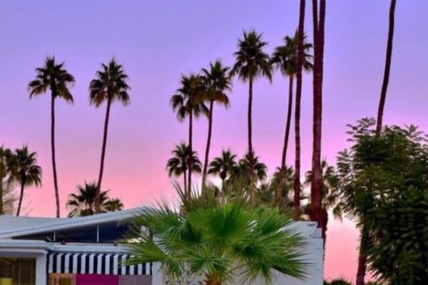 10 Best Things To Do in Palm Springs