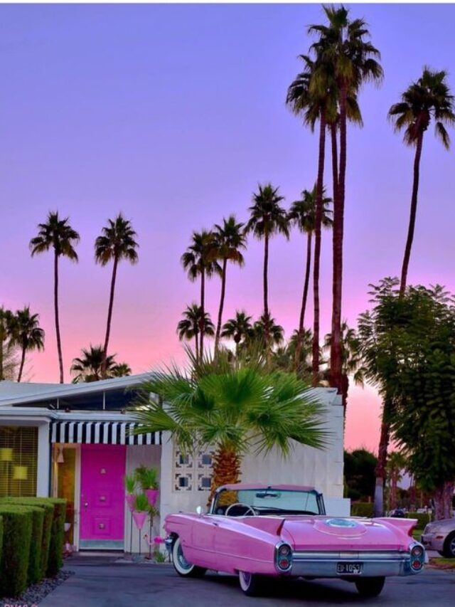 10 Best Things To Do in Palm Springs