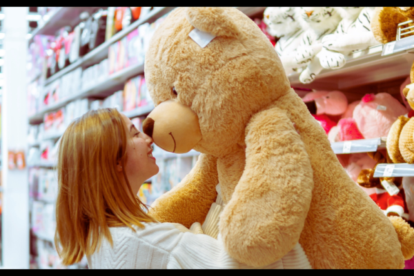 Toy Shops in Panchkula