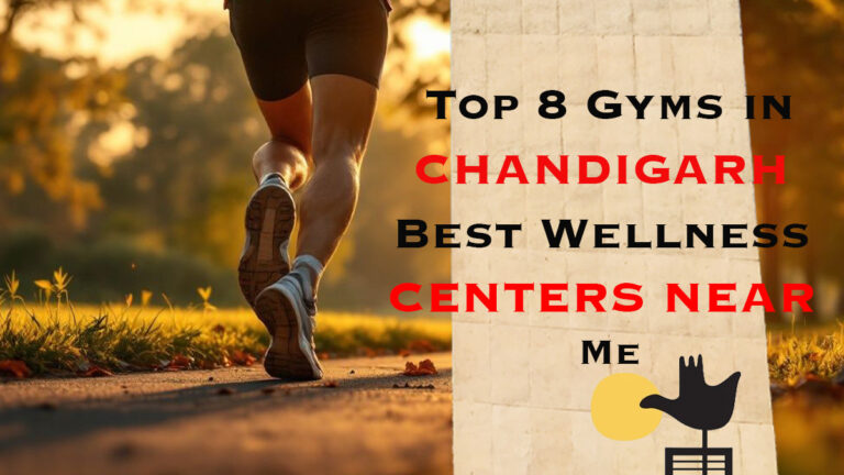 Top 8 Gyms in Chandigarh – Best Wellness Centers Near Me