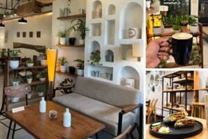Top 10 Cafes in Mohali