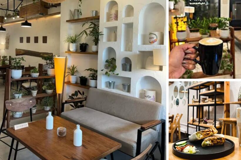 Top 10 Cafes in Mohali